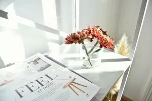 Image Job Office Lady